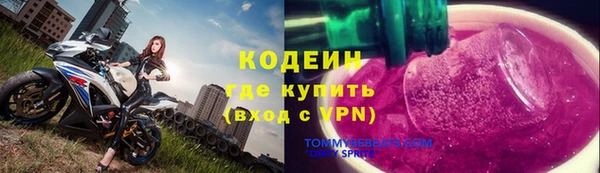 крисы Корсаков