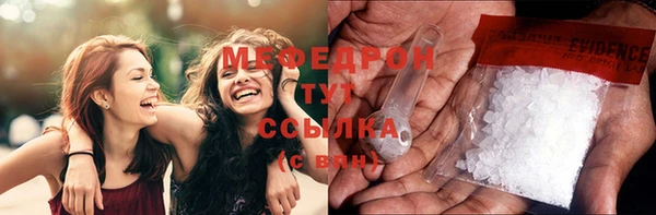 крисы Корсаков