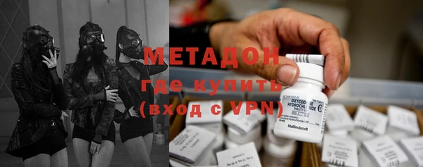 крисы Корсаков