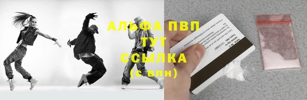 крисы Корсаков