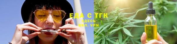 крисы Корсаков
