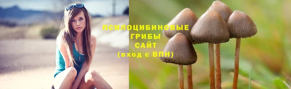 MDMA Premium VHQ Коряжма
