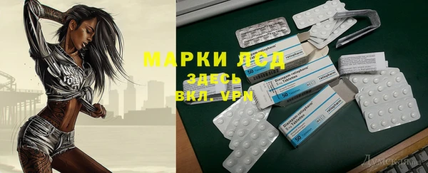 крисы Корсаков