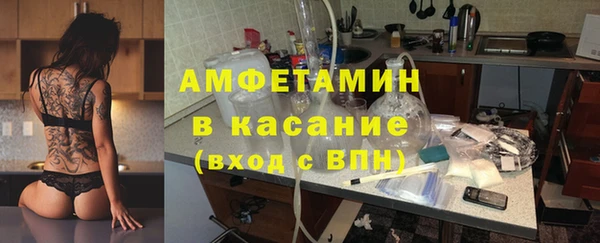 крисы Корсаков
