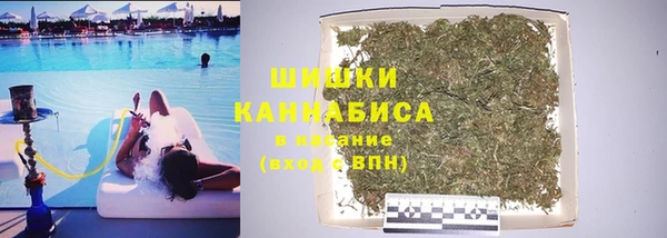 крисы Корсаков