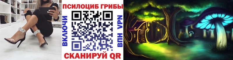 Купить закладки  Георгиевск  Псилоцибиновые грибы прущие грибы 
